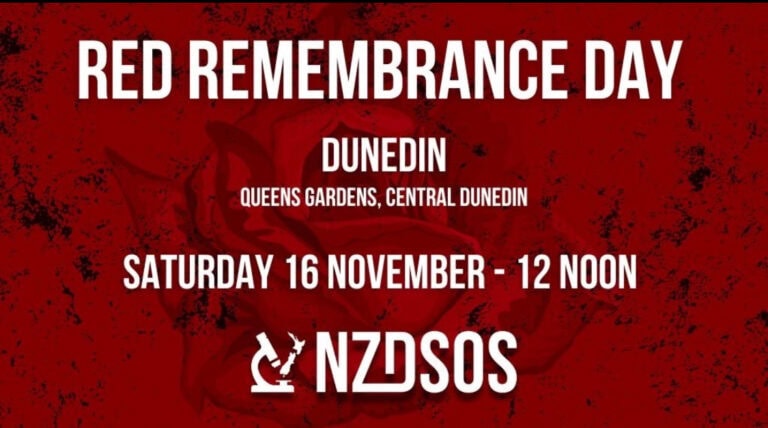 Dunedin Standing Strong Even in The Rain